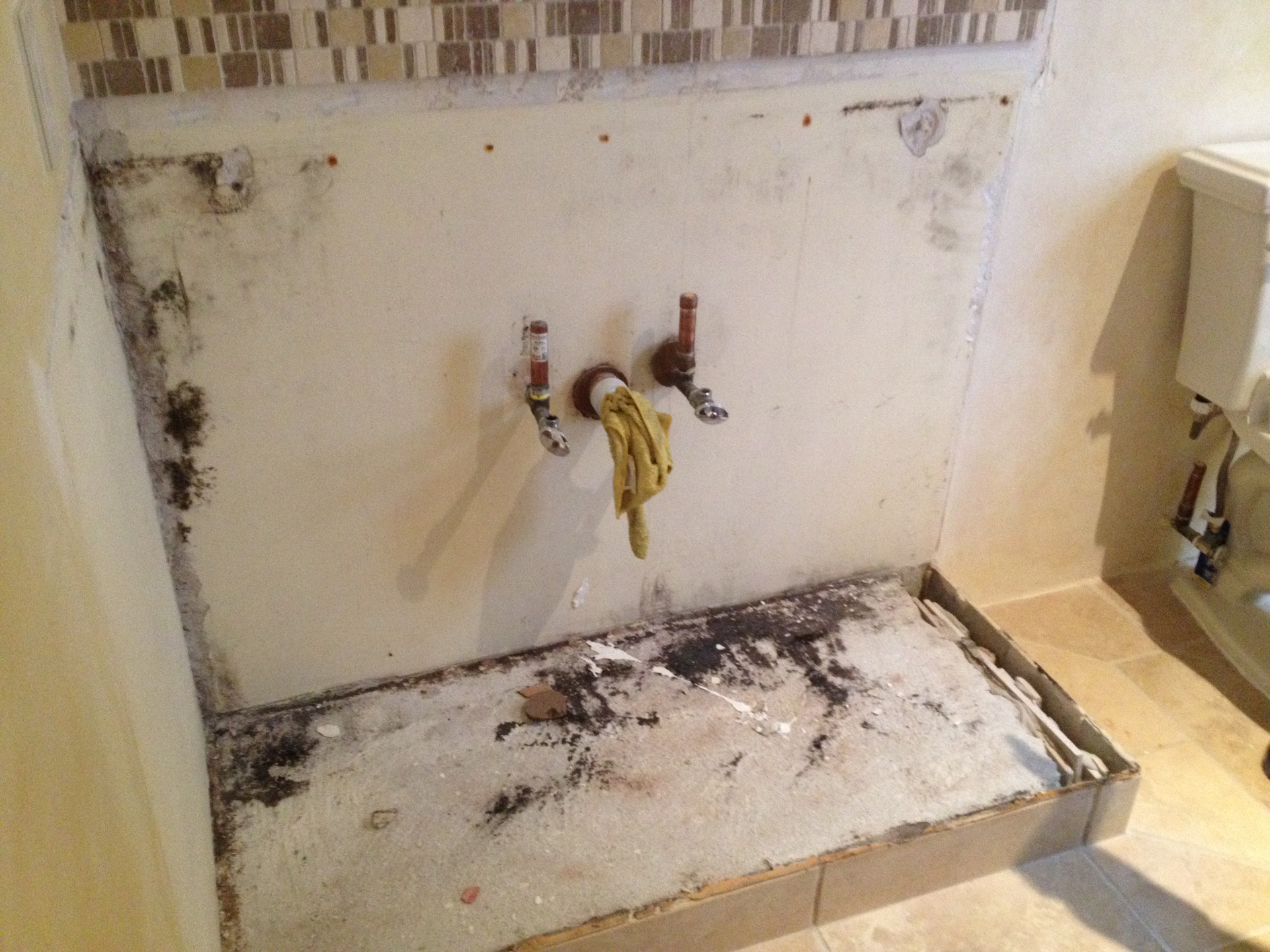 Why Is My Concrete Apartment Getting Moldy? Condensation and Wind-Driven Rain — PrOzone mold remediation article illustration
