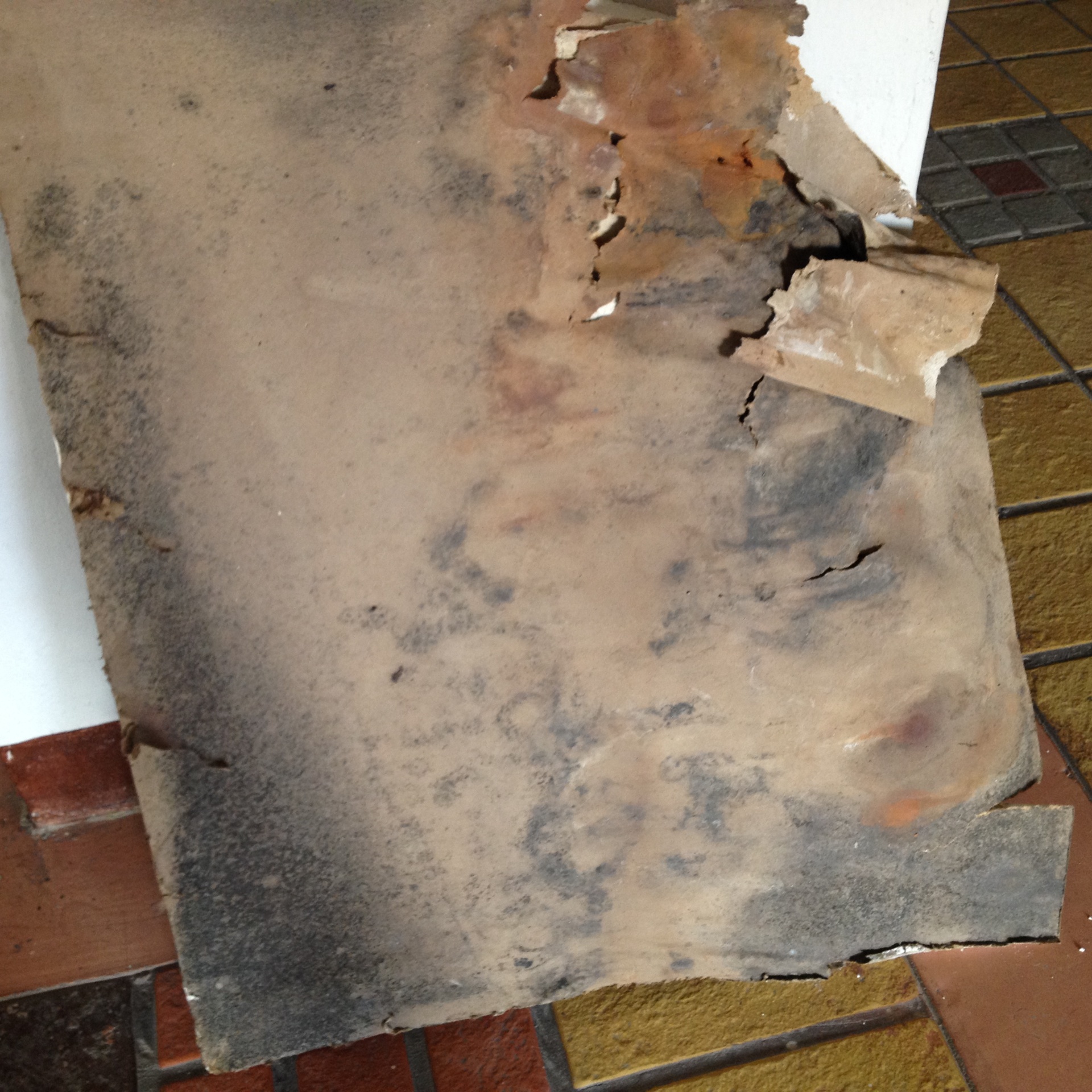 Emergency HVAC Mold Remediation: When to Call — Process & Timeline