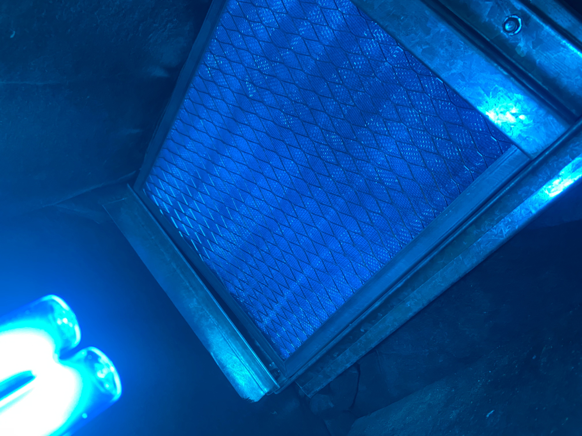 Moldy HVAC Filter: Should I Be Worried? — Symptoms & Detection