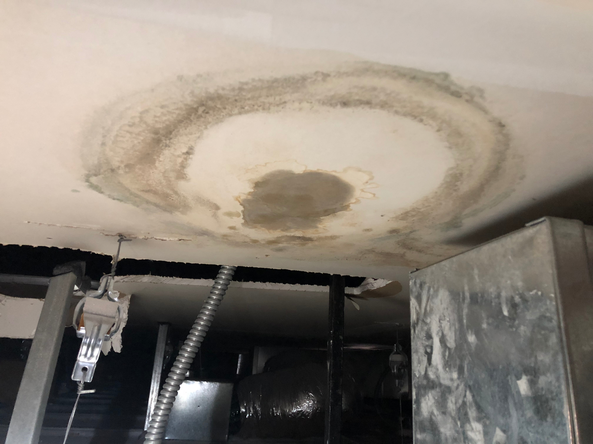 Black Mold in HVAC: What You Need to Know — Health & Safety