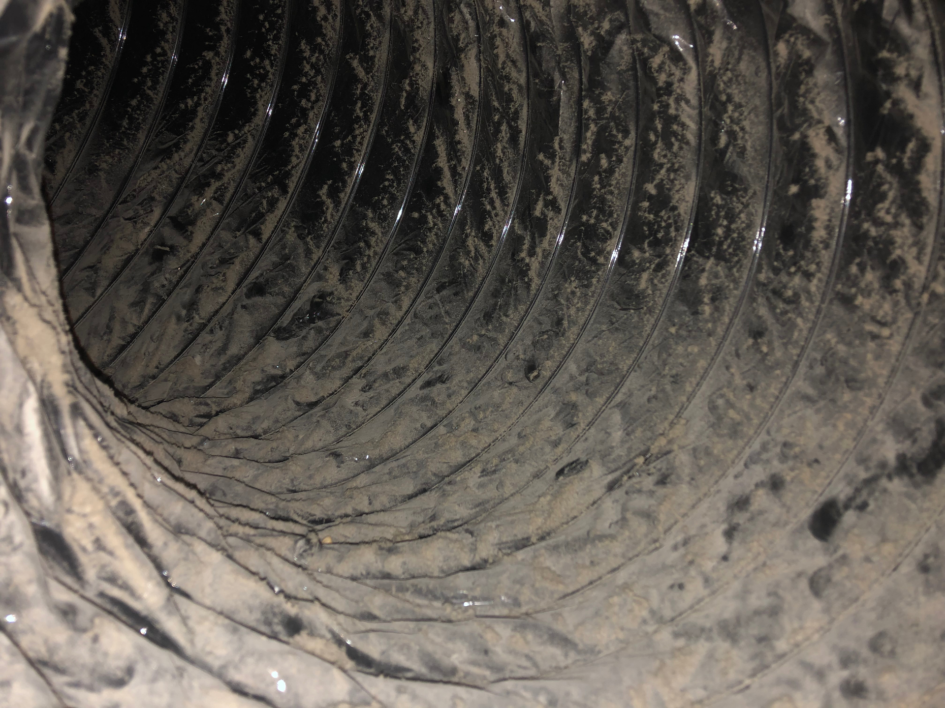 Why Does My Air Conditioning Smell Moldy? — Symptoms & Detection