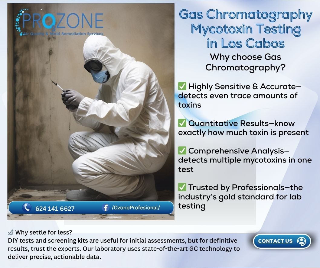 Is Mold in Your HVAC Dangerous? Health Risks and Warning Signs — Health & Safety