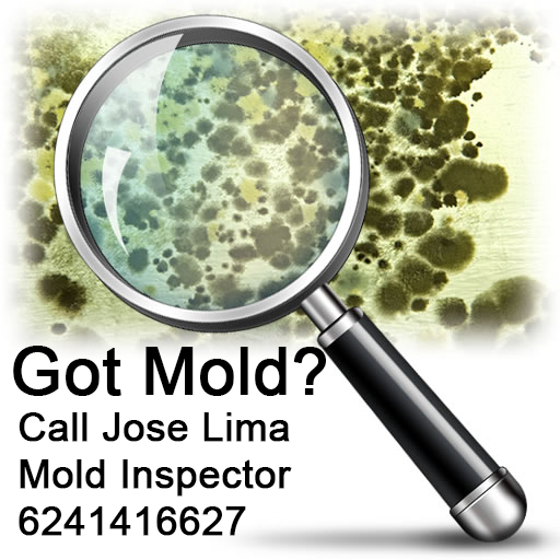 What Questions to Ask Your HVAC Mold Inspector — Choosing a Pro