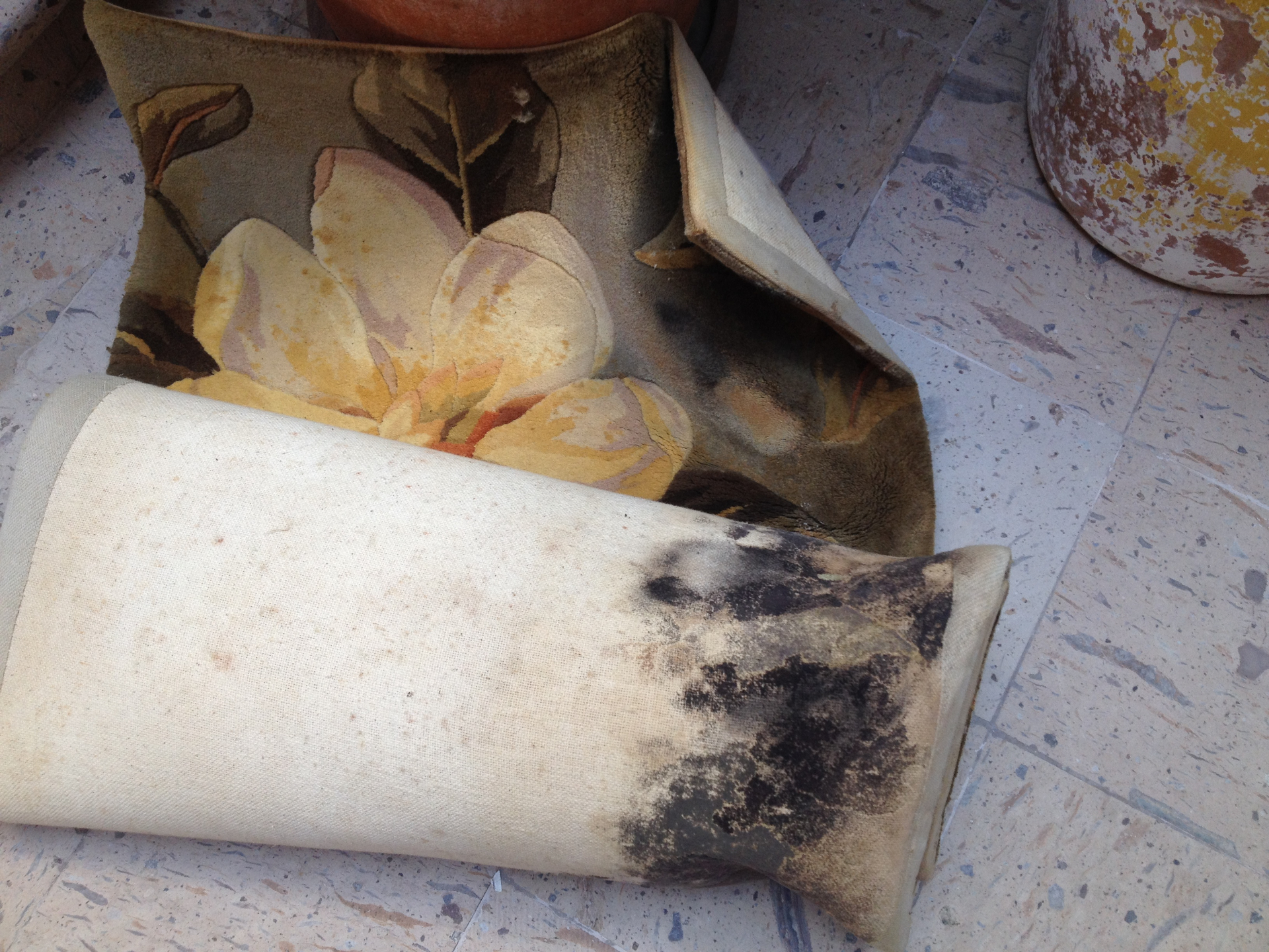 Should I Replace My HVAC System Due to Mold? — Prevention & Maintenance