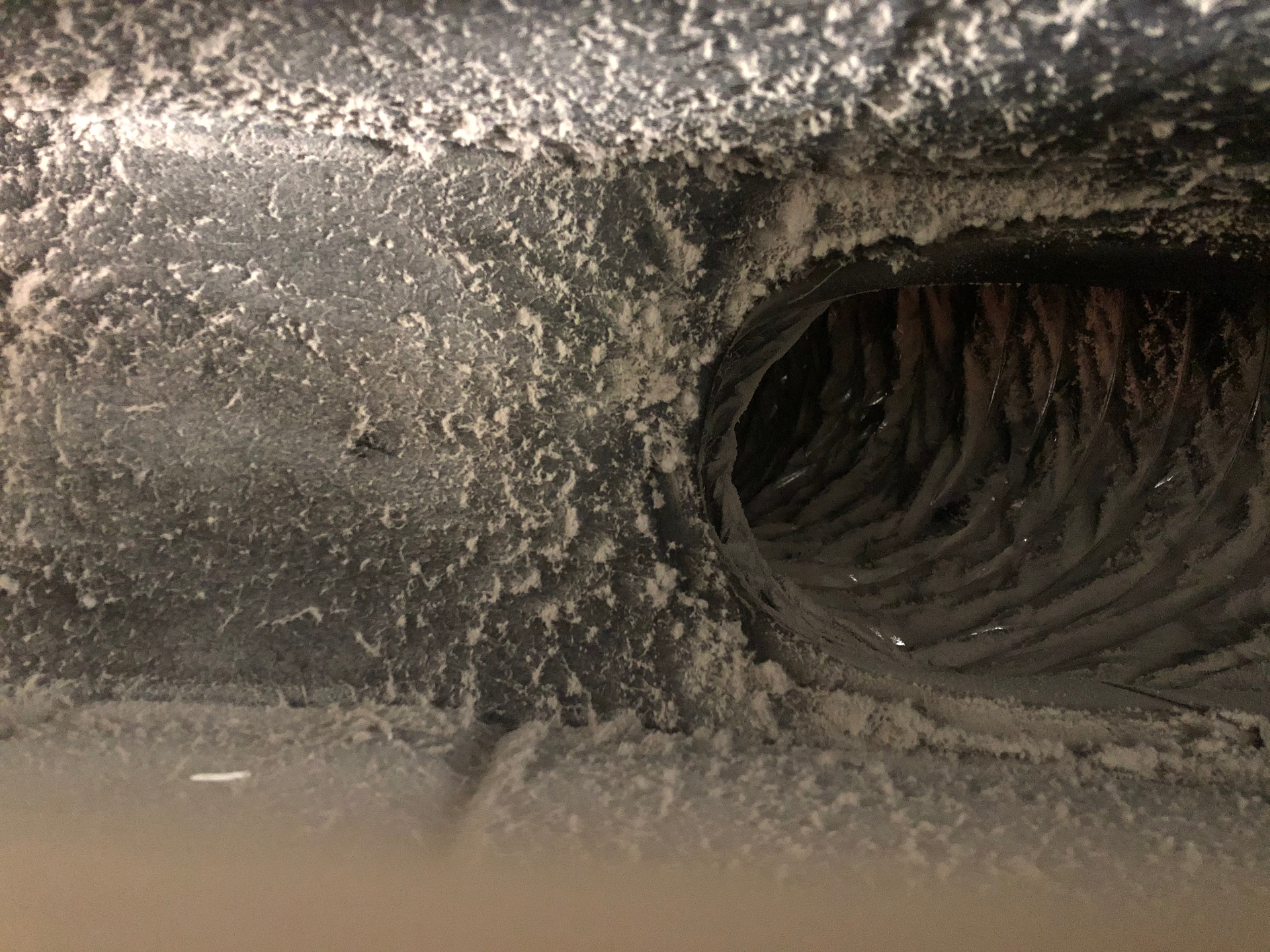 Signs Your Air Conditioning System Has Mold — Symptoms & Detection