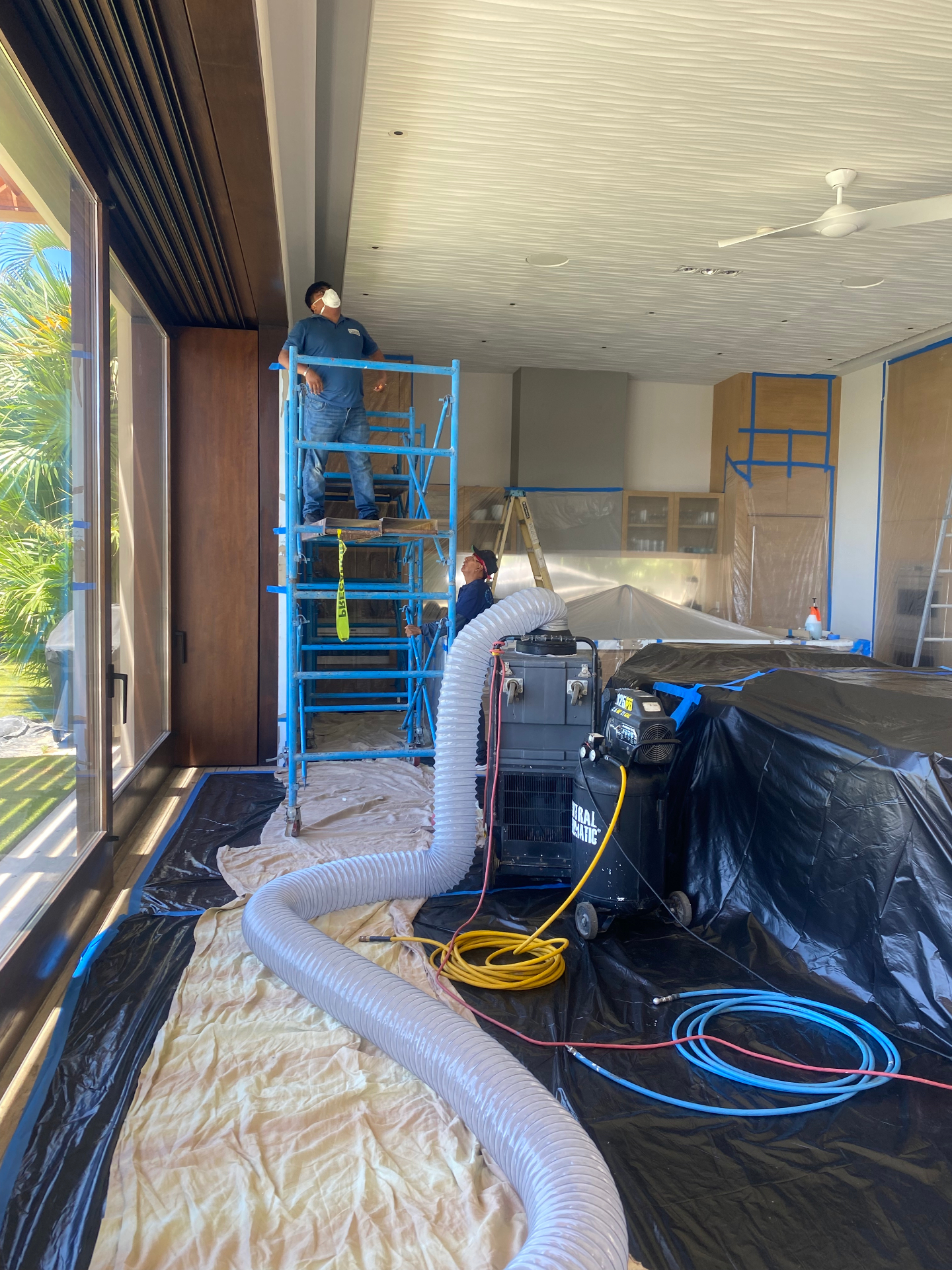 Is Mold Remediation Worth the Cost? — Cost & Insurance