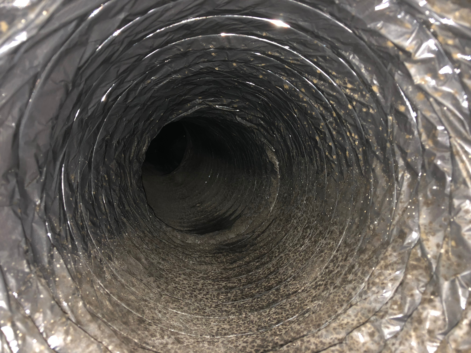 Mold After HVAC Repair: What Should I Do? — Process & Timeline