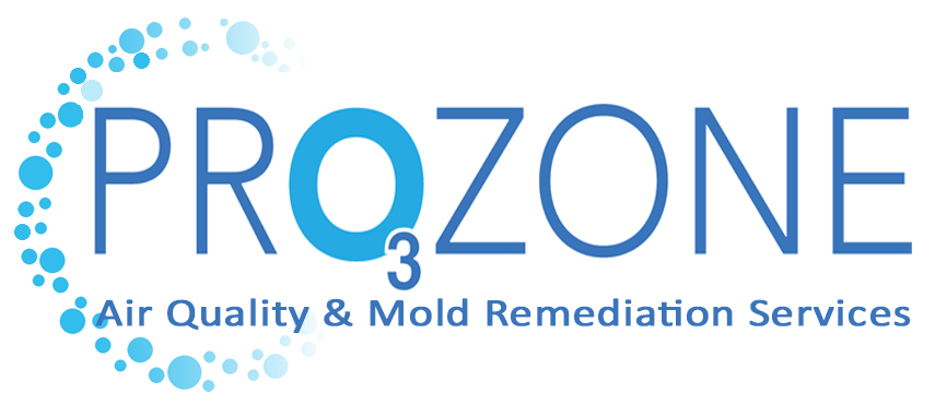 ProZone - Air Quality & Mold Remediation Services